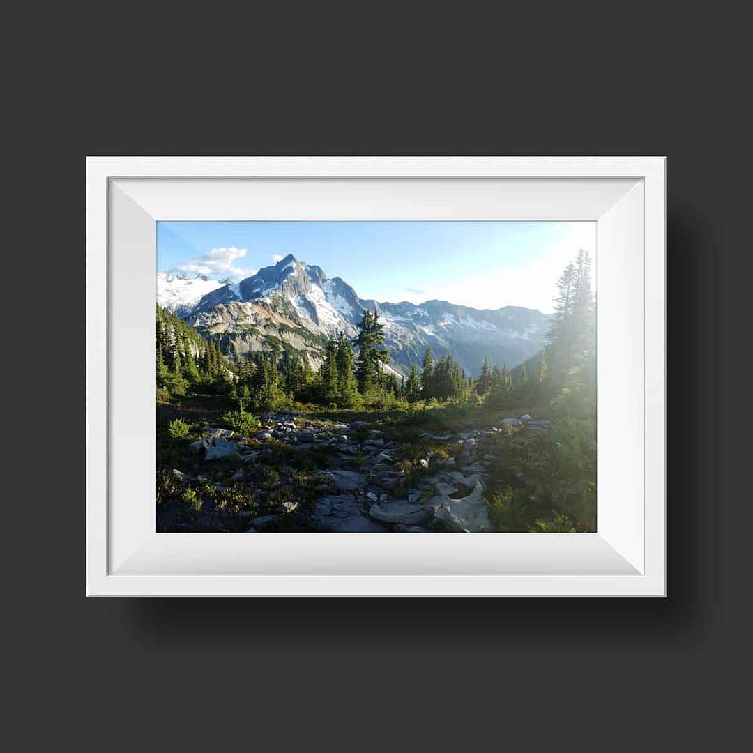 Product #07 - Image 4